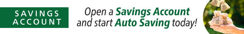 Open a savings account and start auto saving today!